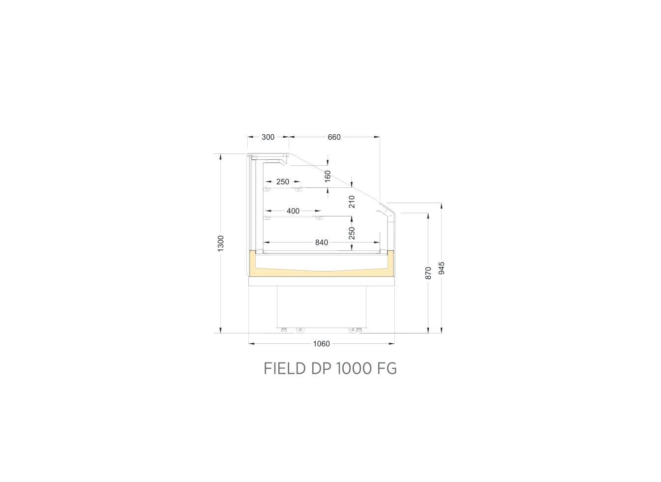 FIELD DP 1000 FG